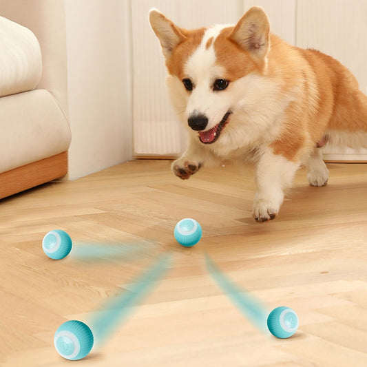 Dog Ball Toys Funny Self-Moving Puppy Games Toys.