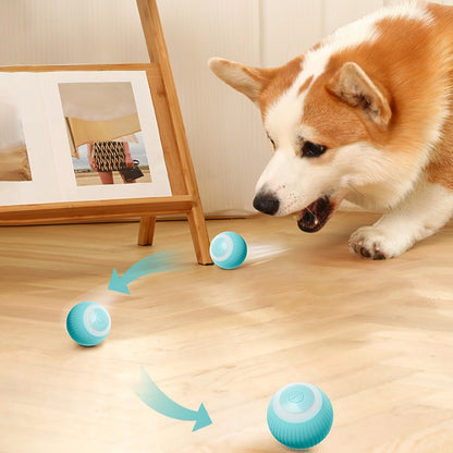 Dog Ball Toys Funny Self-Moving Puppy Games Toys.